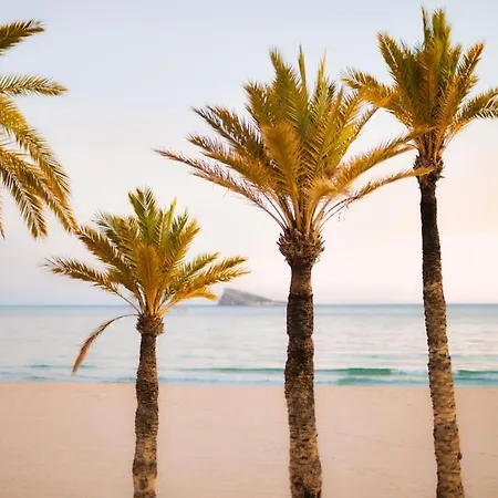 Sunset Cliffs 아파트 *